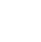 Security verification icon